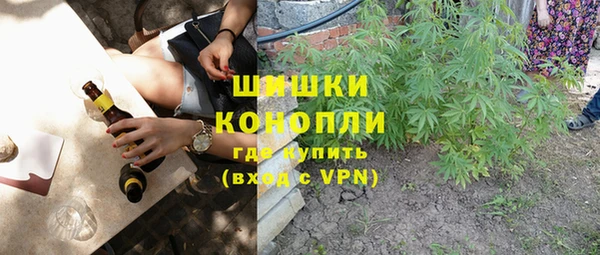 мдпв Кинешма