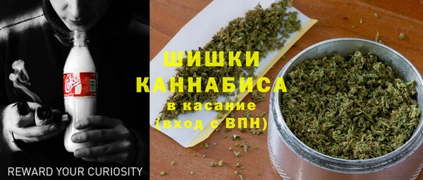 мдпв Кинешма