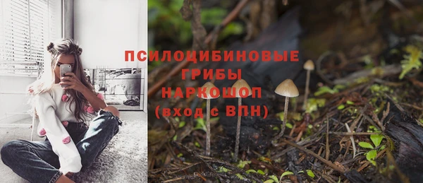 мдпв Кинешма