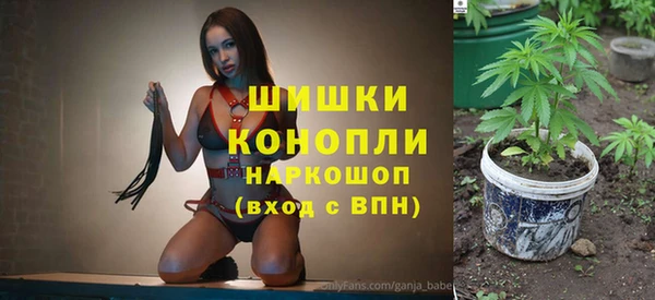 мдпв Кинешма